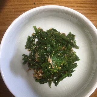 紅菜苔のごま鰹節和え